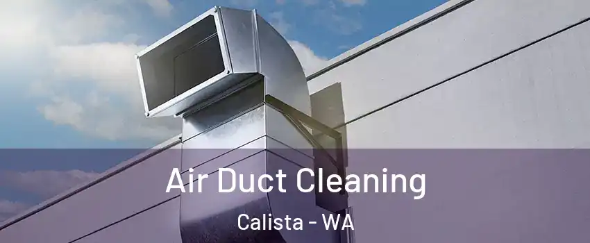 Air Duct Cleaning Calista - WA
