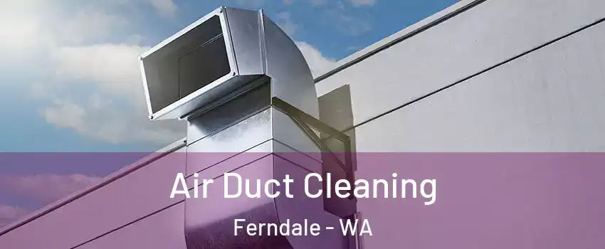 Air Duct Cleaning Ferndale - WA