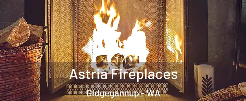Astria Fireplaces Gidgegannup - WA