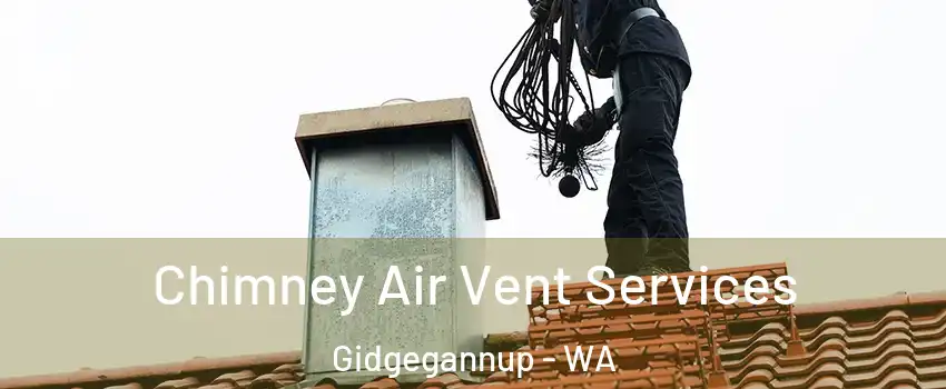 Chimney Air Vent Services Gidgegannup - WA