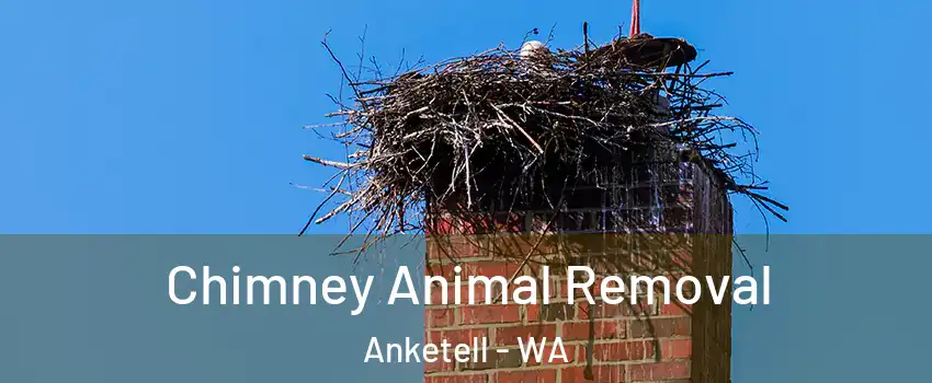 Chimney Animal Removal Anketell - WA