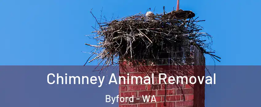 Chimney Animal Removal Byford - WA