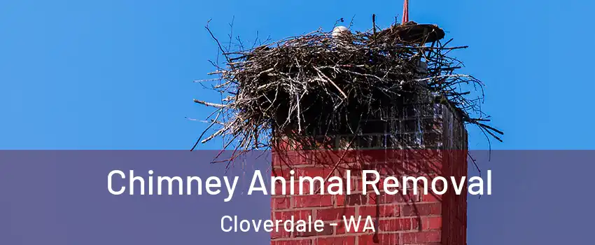 Chimney Animal Removal Cloverdale - WA