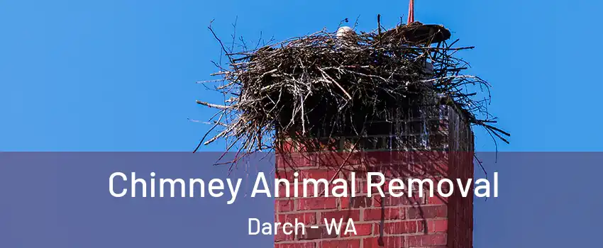 Chimney Animal Removal Darch - WA
