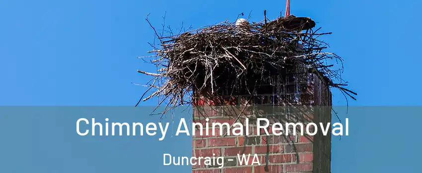 Chimney Animal Removal Duncraig - WA