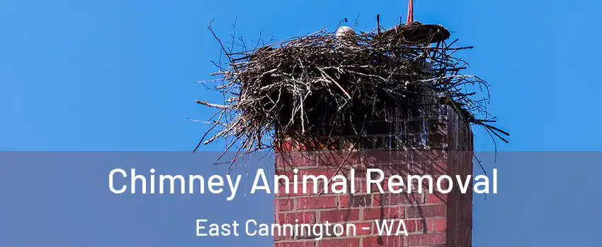 Chimney Animal Removal East Cannington - WA