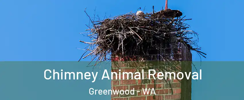 Chimney Animal Removal Greenwood - WA