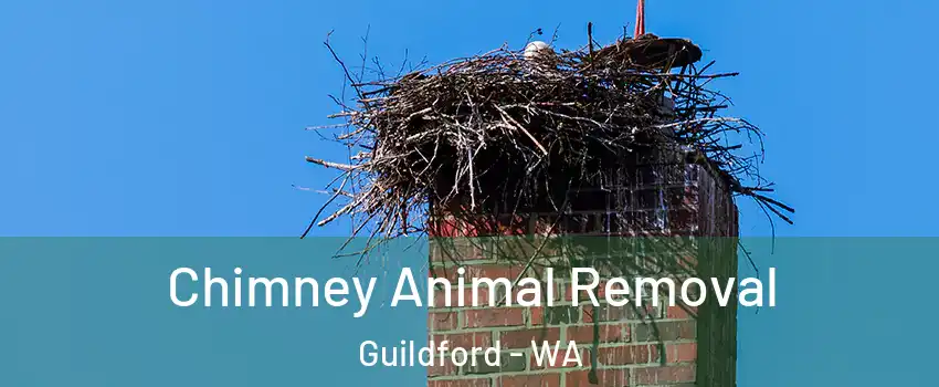 Chimney Animal Removal Guildford - WA