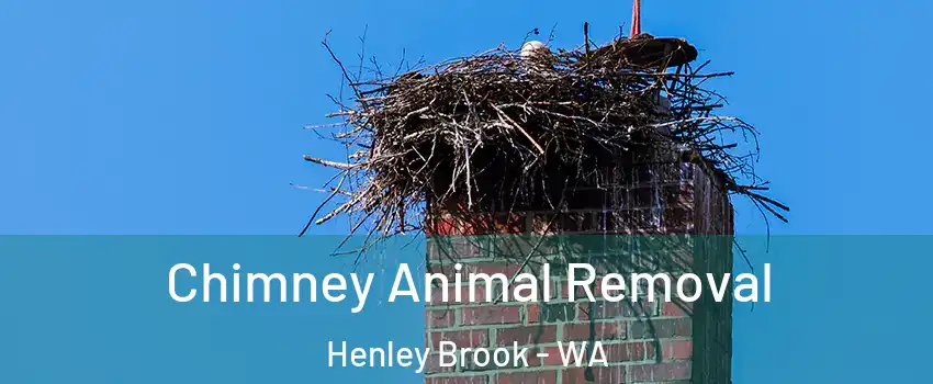 Chimney Animal Removal Henley Brook - WA