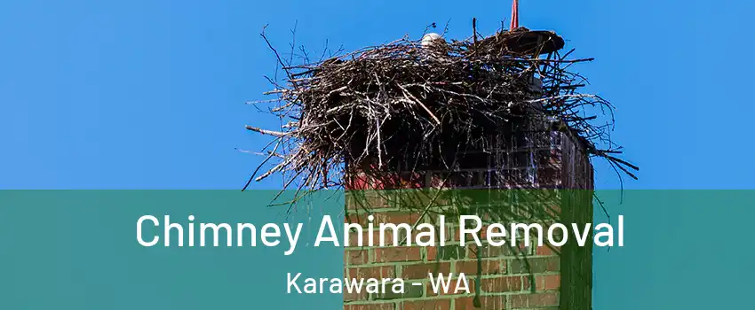 Chimney Animal Removal Karawara - WA