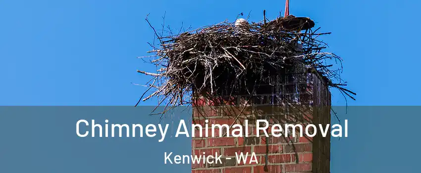 Chimney Animal Removal Kenwick - WA