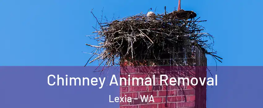 Chimney Animal Removal Lexia - WA