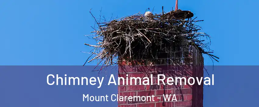 Chimney Animal Removal Mount Claremont - WA
