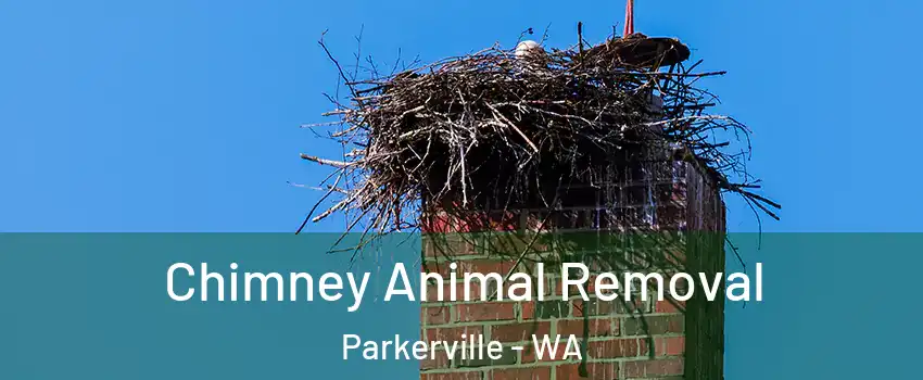 Chimney Animal Removal Parkerville - WA