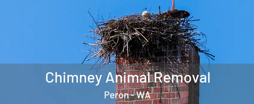 Chimney Animal Removal Peron - WA