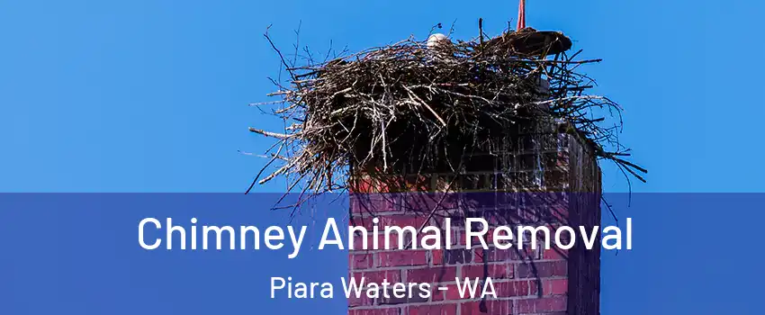 Chimney Animal Removal Piara Waters - WA