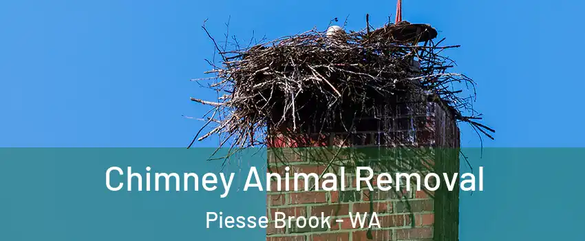 Chimney Animal Removal Piesse Brook - WA
