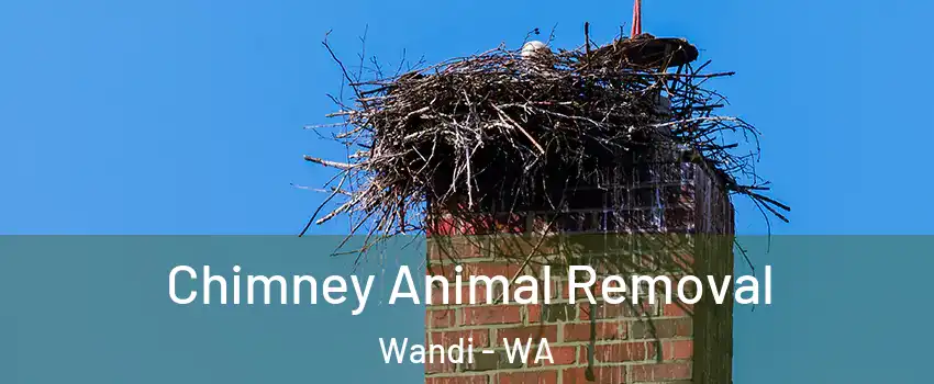 Chimney Animal Removal Wandi - WA