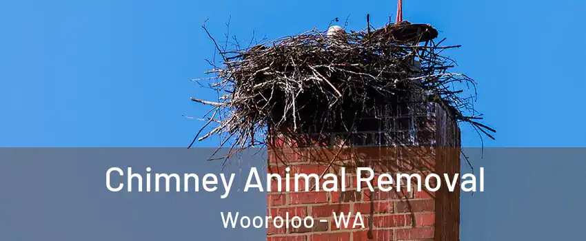 Chimney Animal Removal Wooroloo - WA