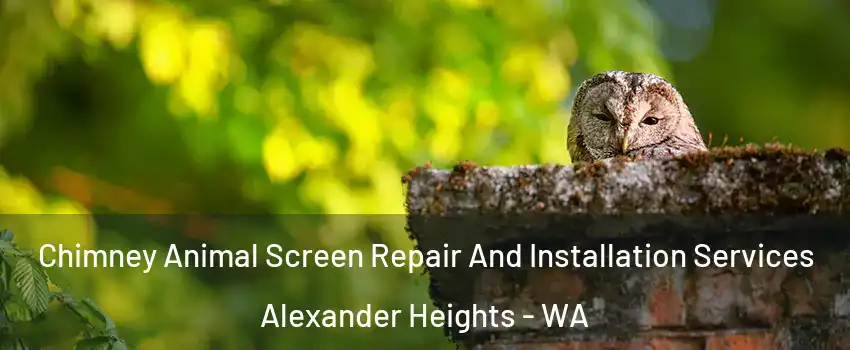 Chimney Animal Screen Repair And Installation Services Alexander Heights - WA