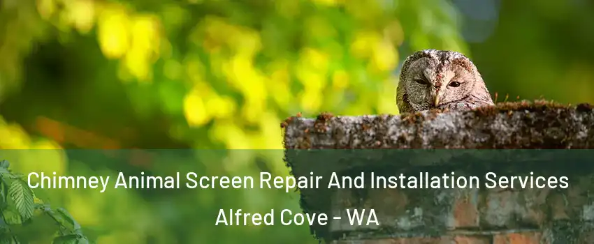 Chimney Animal Screen Repair And Installation Services Alfred Cove - WA