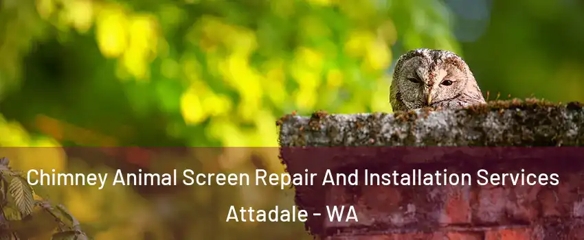 Chimney Animal Screen Repair And Installation Services Attadale - WA