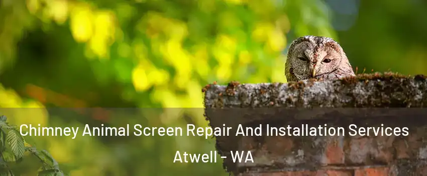 Chimney Animal Screen Repair And Installation Services Atwell - WA
