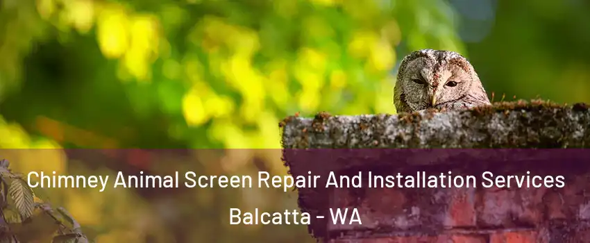 Chimney Animal Screen Repair And Installation Services Balcatta - WA