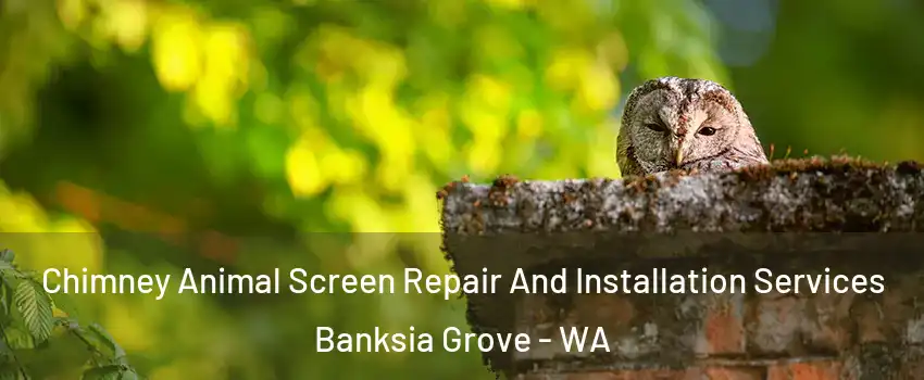 Chimney Animal Screen Repair And Installation Services Banksia Grove - WA