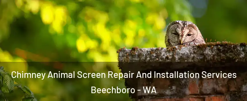 Chimney Animal Screen Repair And Installation Services Beechboro - WA