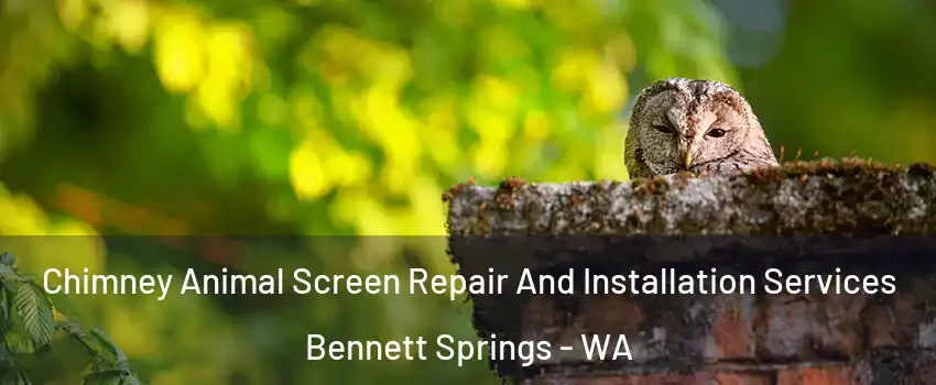 Chimney Animal Screen Repair And Installation Services Bennett Springs - WA