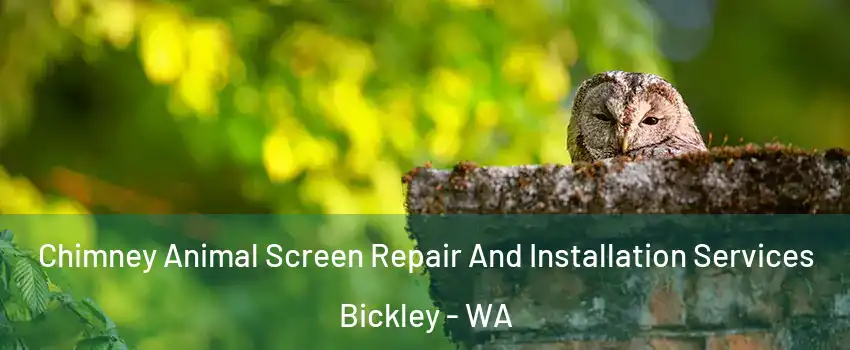 Chimney Animal Screen Repair And Installation Services Bickley - WA