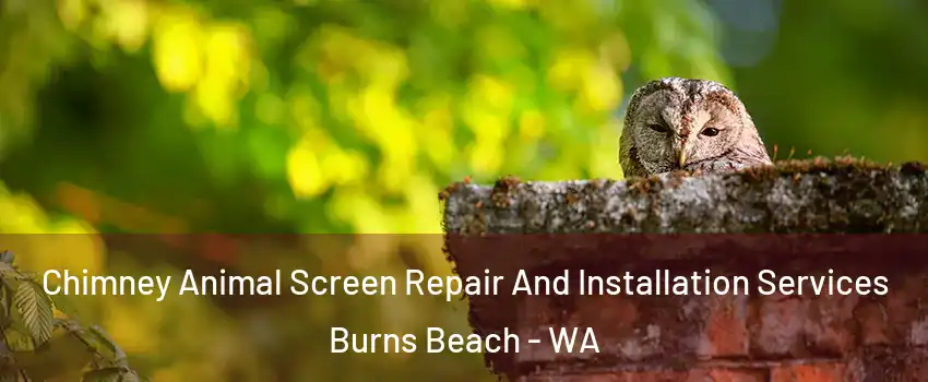 Chimney Animal Screen Repair And Installation Services Burns Beach - WA