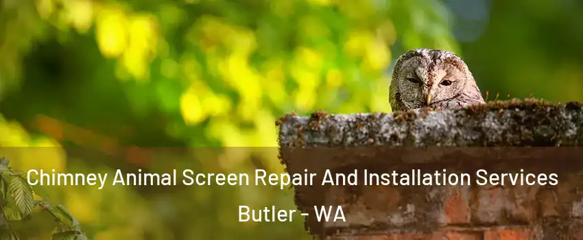 Chimney Animal Screen Repair And Installation Services Butler - WA