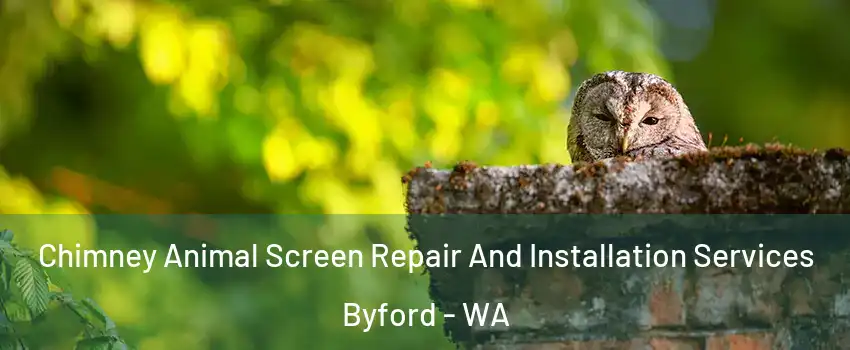 Chimney Animal Screen Repair And Installation Services Byford - WA