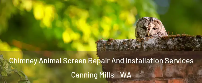 Chimney Animal Screen Repair And Installation Services Canning Mills - WA