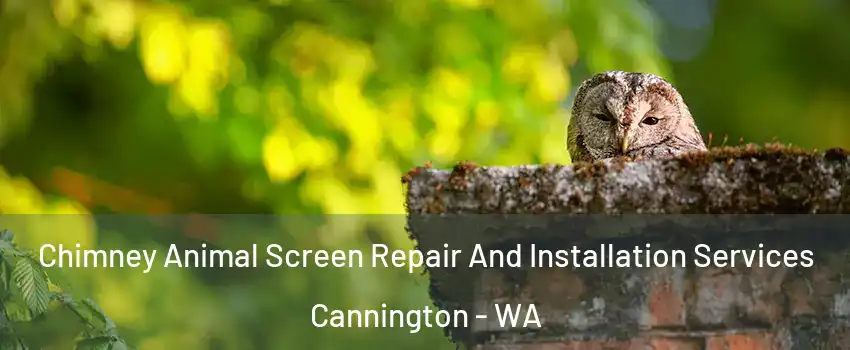 Chimney Animal Screen Repair And Installation Services Cannington - WA