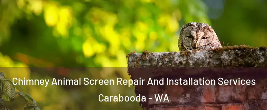 Chimney Animal Screen Repair And Installation Services Carabooda - WA