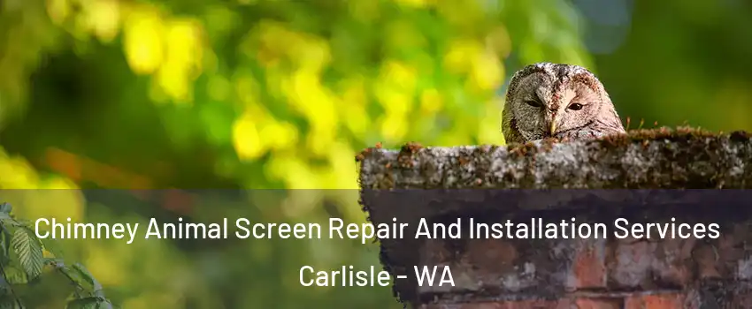 Chimney Animal Screen Repair And Installation Services Carlisle - WA