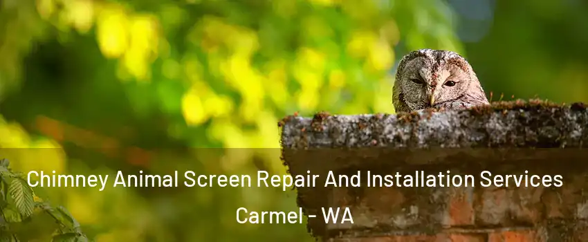 Chimney Animal Screen Repair And Installation Services Carmel - WA