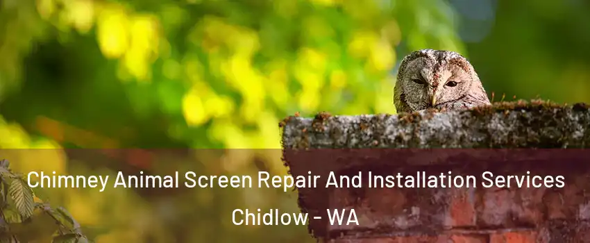 Chimney Animal Screen Repair And Installation Services Chidlow - WA