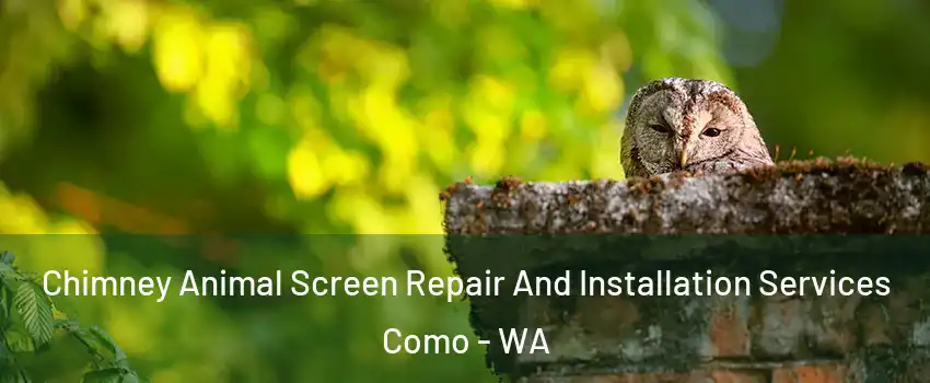 Chimney Animal Screen Repair And Installation Services Como - WA