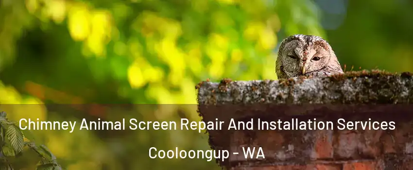 Chimney Animal Screen Repair And Installation Services Cooloongup - WA
