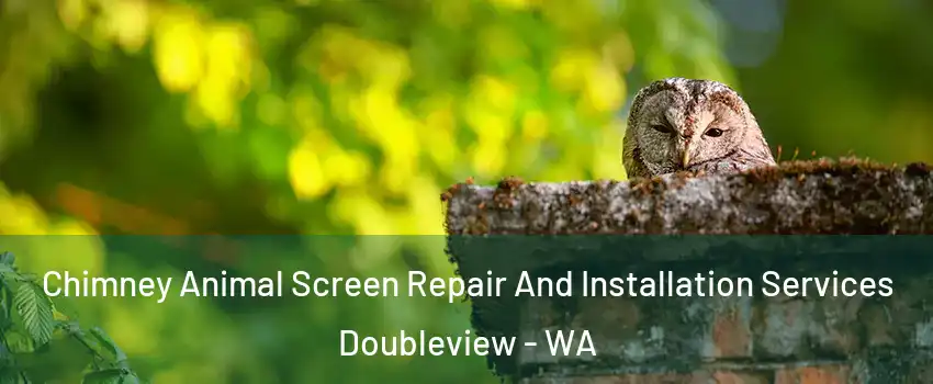 Chimney Animal Screen Repair And Installation Services Doubleview - WA
