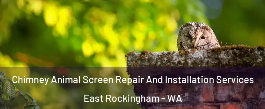 Chimney Animal Screen Repair And Installation Services East Rockingham - WA