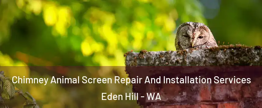 Chimney Animal Screen Repair And Installation Services Eden Hill - WA