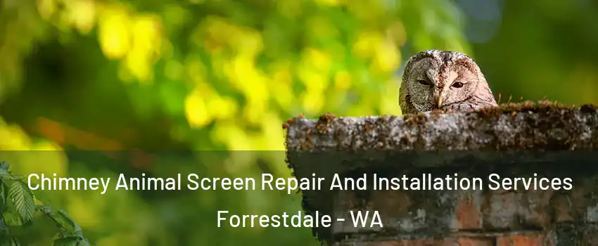 Chimney Animal Screen Repair And Installation Services Forrestdale - WA