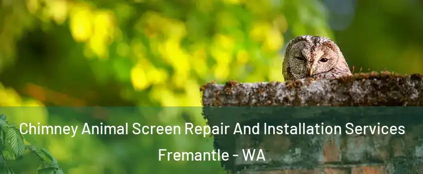 Chimney Animal Screen Repair And Installation Services Fremantle - WA