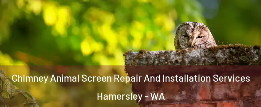 Chimney Animal Screen Repair And Installation Services Hamersley - WA