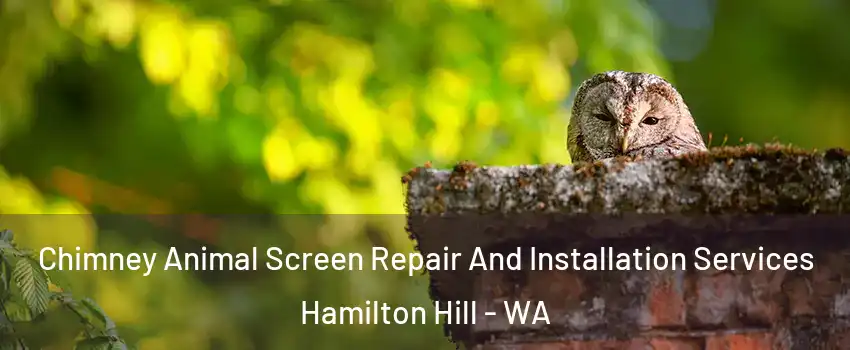 Chimney Animal Screen Repair And Installation Services Hamilton Hill - WA